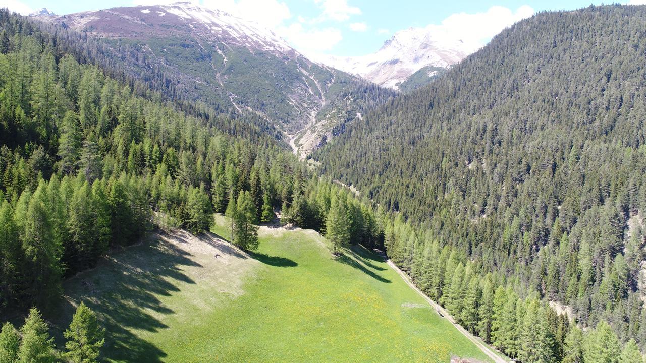 Hotel Sonnenhalde Wiesen Dış mekan fotoğraf